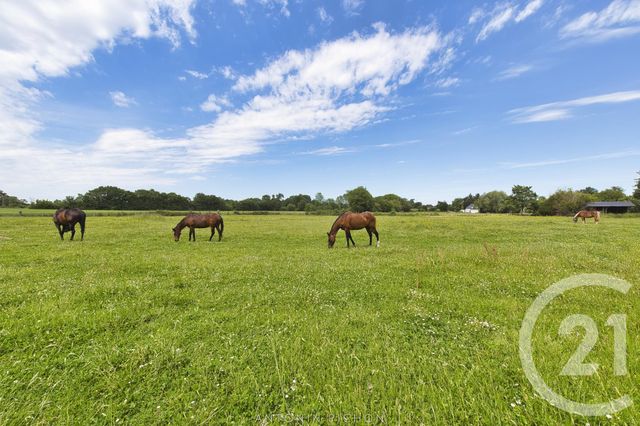maison à louer - 7 pièces - 400.0 m2 - NOYAL CHATILLON SUR SEICHE - 35 - BRETAGNE - Century 21 Dréano Immobilier maison à louer - 7 pièces - 400.0 m2 - NOYAL CHATILLON SUR SEICHE - 35 - BRETAGNE - Century 21 Dréano Immobilier