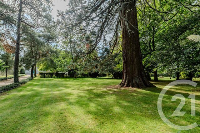 maison à vendre - 12 pièces - 374.51 m2 - VITRE - 35 - BRETAGNE - Century 21 Dréano Immobilier