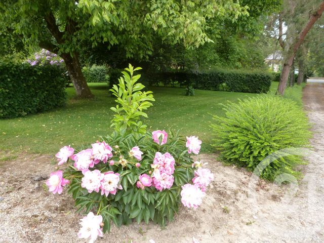 maison à vendre - 12 pièces - 374.51 m2 - VITRE - 35 - BRETAGNE - Century 21 Dréano Immobilier