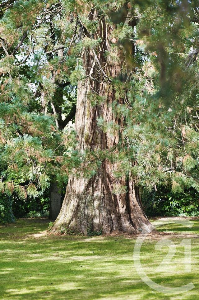 maison à vendre - 12 pièces - 374.51 m2 - VITRE - 35 - BRETAGNE - Century 21 Dréano Immobilier